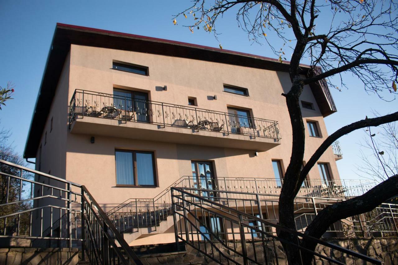Hotel Panoramic Baia Sprie Exterior foto